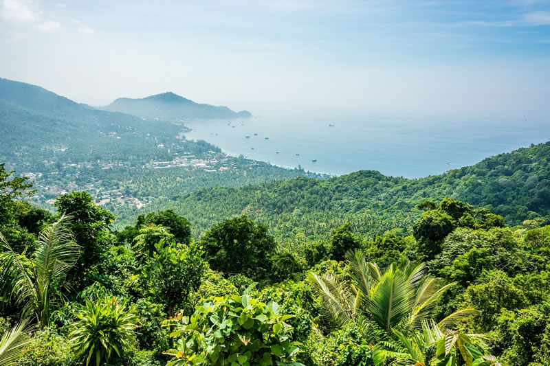 Koh Tao - A view from the hills
