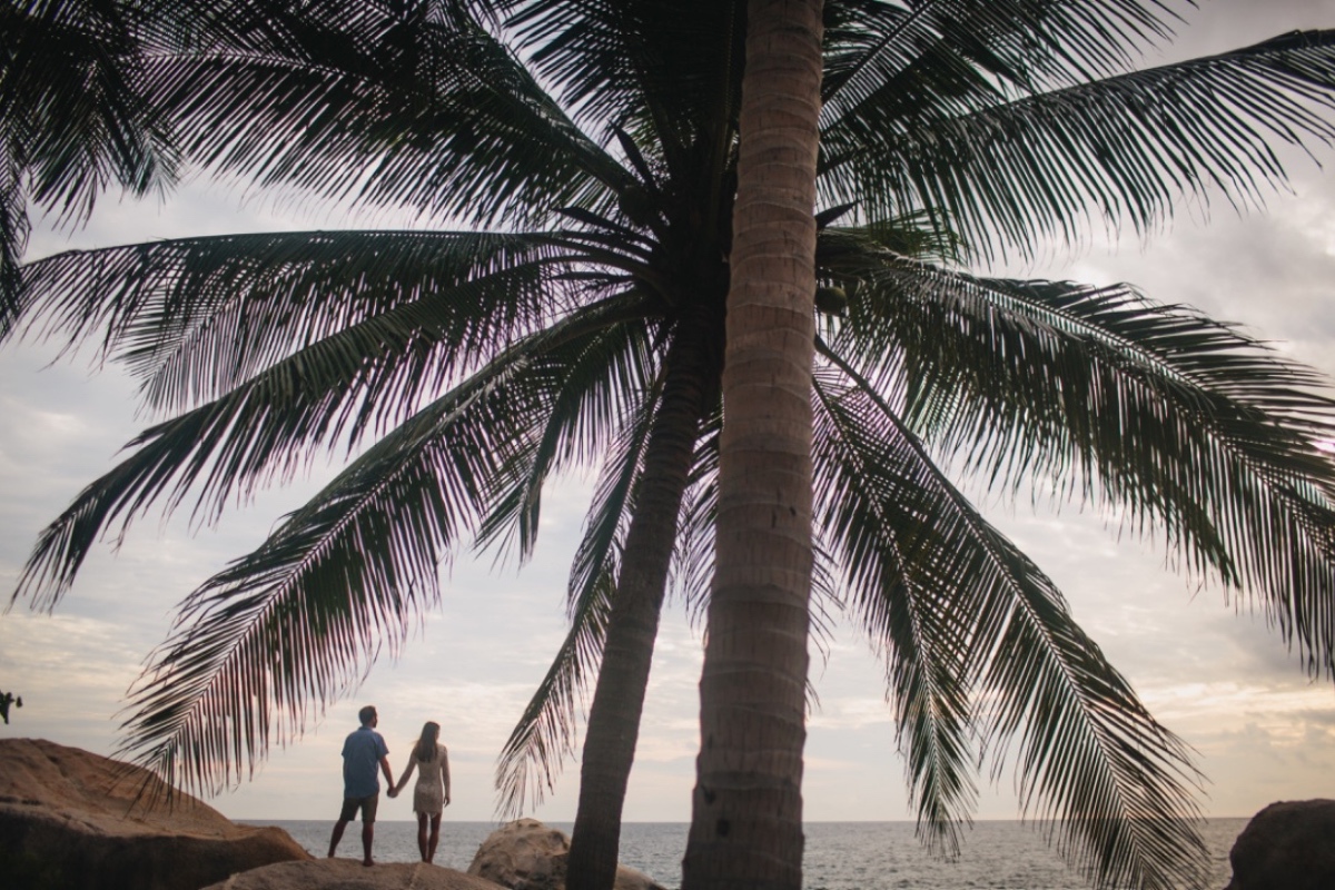 Nikki and Jeff holding hands under a palm tree, looking out to a sunset on Koh Tao on their elopement wedding day planned by Forever Lovestruck weddings.